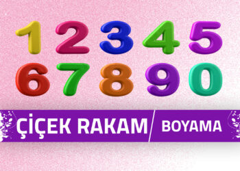 cicek-rakam-boyama-sayfalari
