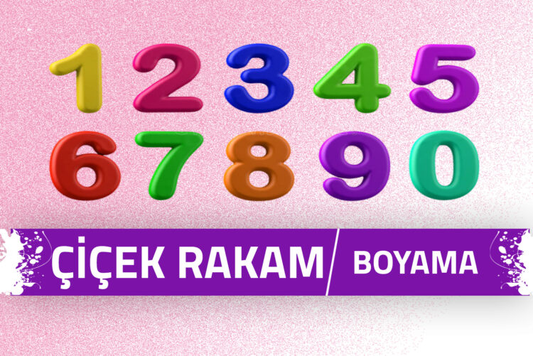 cicek-rakam-boyama-sayfalari