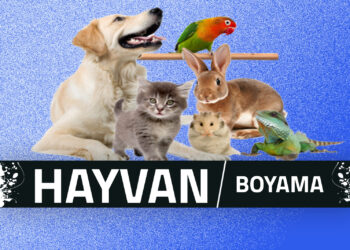 Hayvanlar Boyama Sayfaları 23 Hayvanlar Boyama Sayfaları