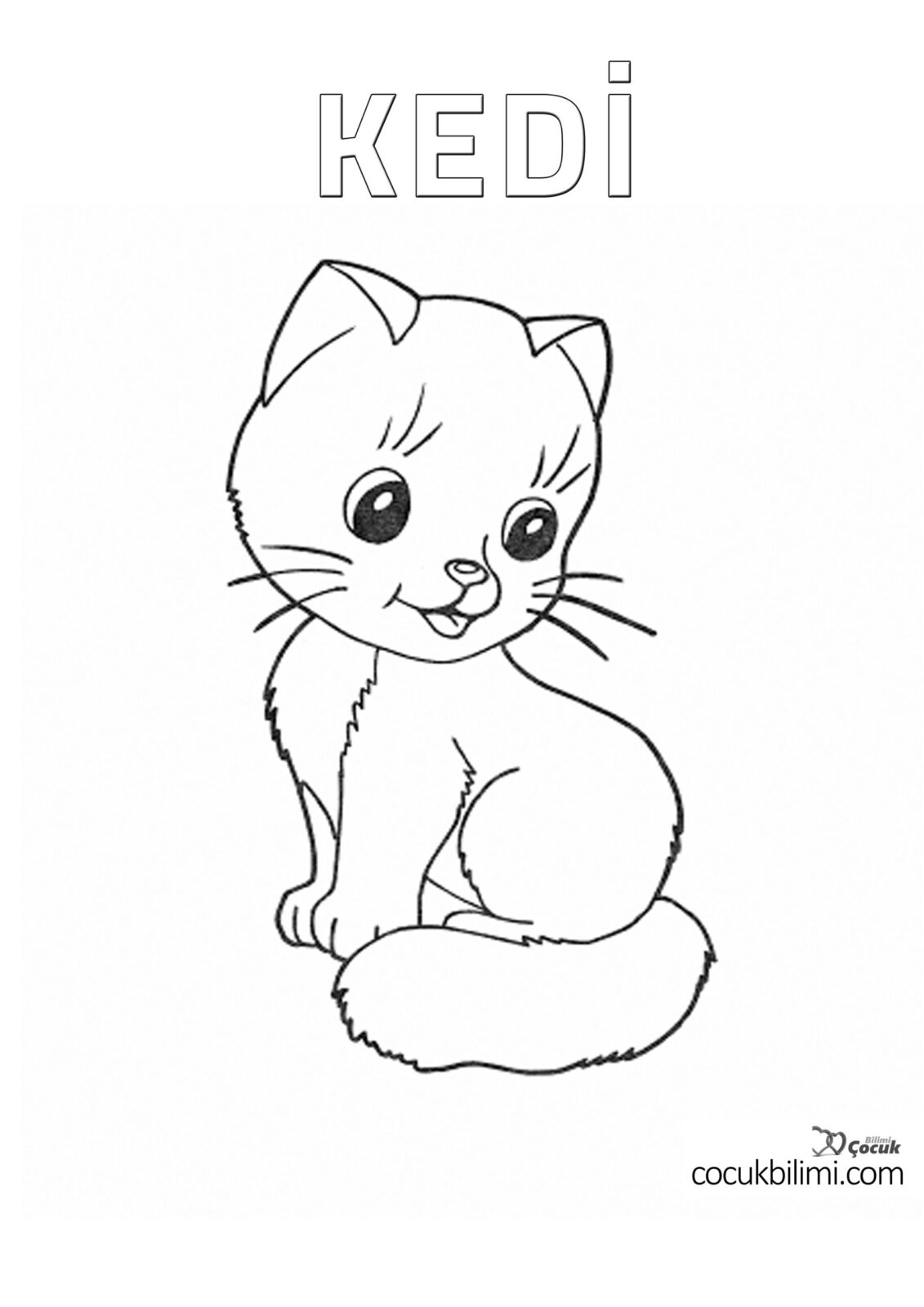 kedi boyama sayfası