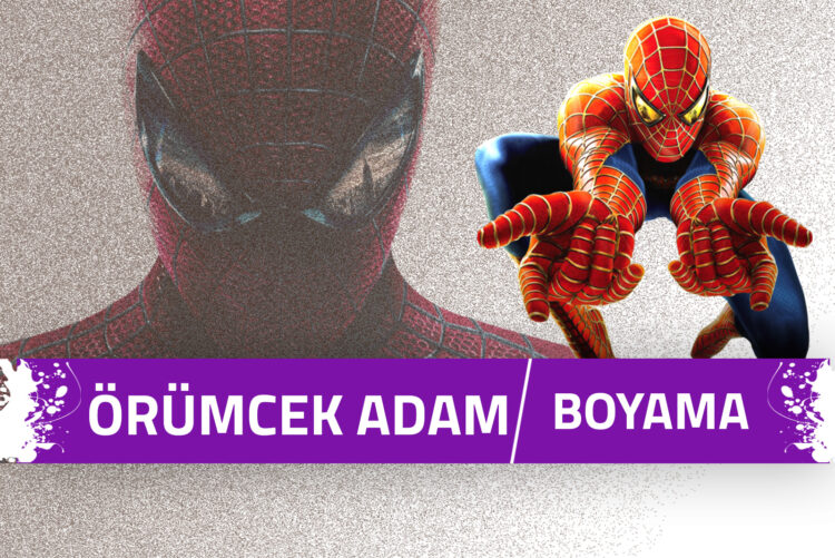 orumcek-boyama-sayfalari