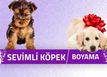 sevimli-kopek-boyama