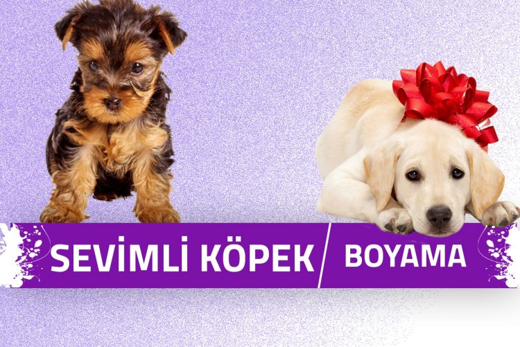 Sevimli Köpek Boyama Sayfaları 1 sevimli-kopek-boyama