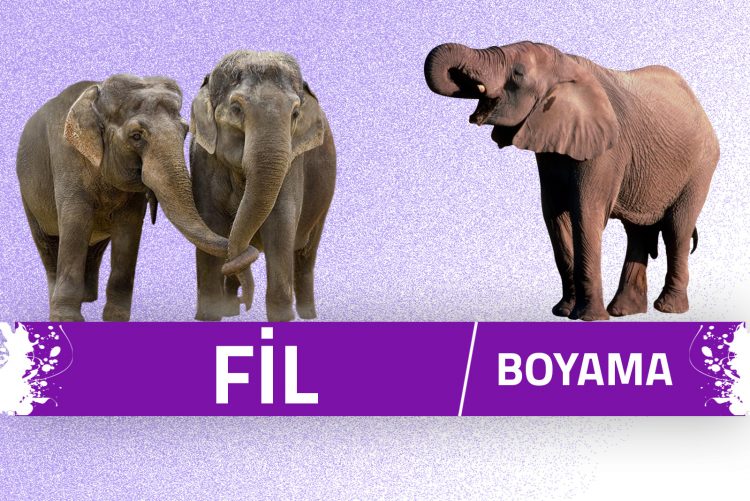 fil-boyama-sayfalari