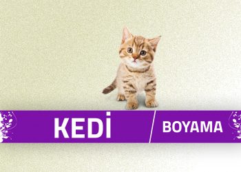 kedi-boyama-sayfalari