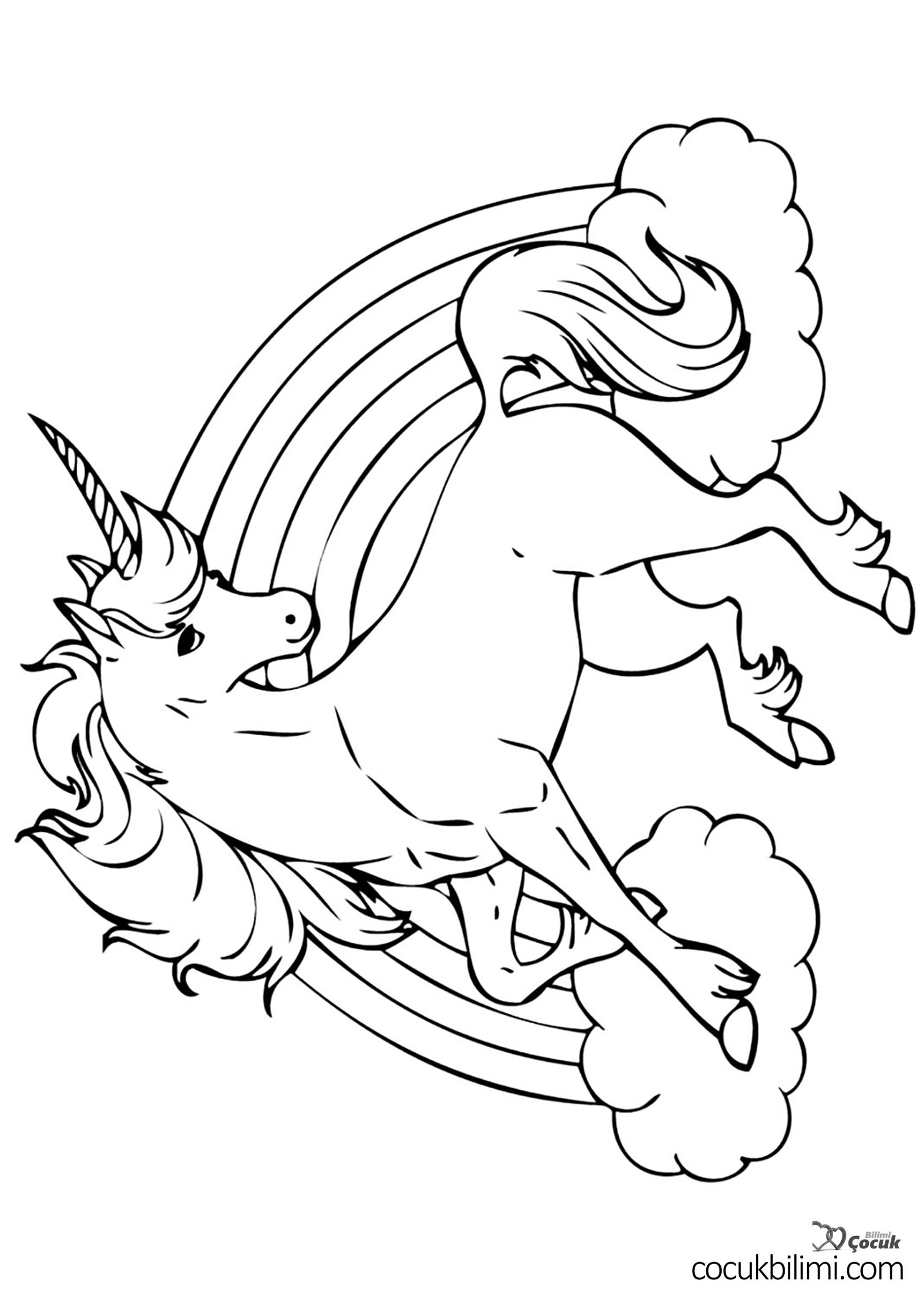 unicorn-boyama
