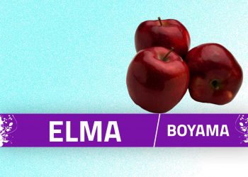 elma-boyama-sayfalari