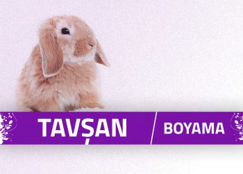 tavsan-boyama-sayfalari