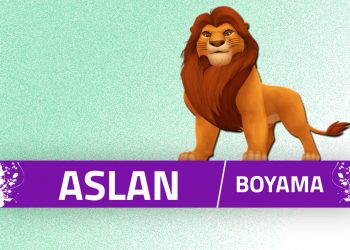 aslan-boyama-sayfalari-kapak