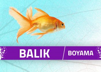 balik-boyama-sayfalari