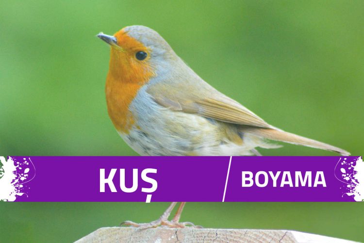 Kuş Boyama Sayfaları 1 kuş boyama sayfaları