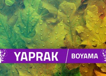 yaprak-boyama-sayfalari