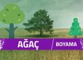 agac-boyama-sayfalari