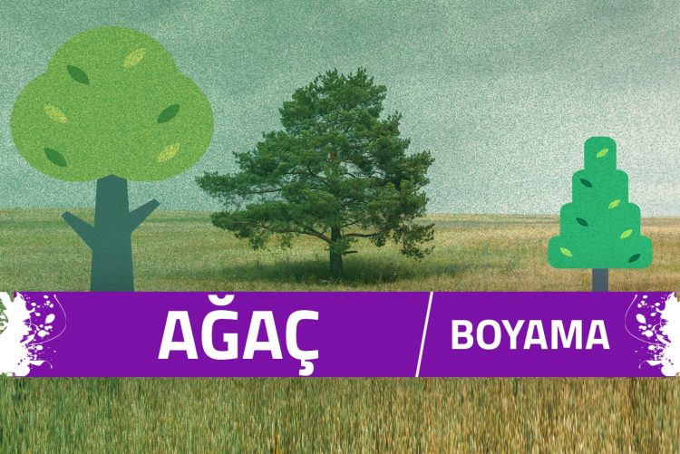 Ağaç Boyama Sayfaları 1 agac-boyama-sayfalari