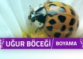 Uğur Böceği Boyama Sayfaları 6 Uğur Böceği Boyama Sayfaları